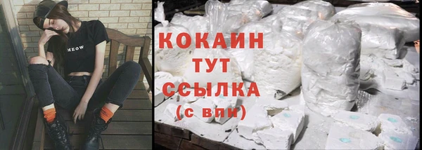 ГАЛЛЮЦИНОГЕННЫЕ ГРИБЫ Новозыбков