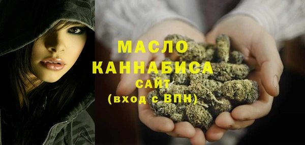 гидра Арсеньев