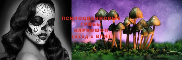 таблы Алексеевка