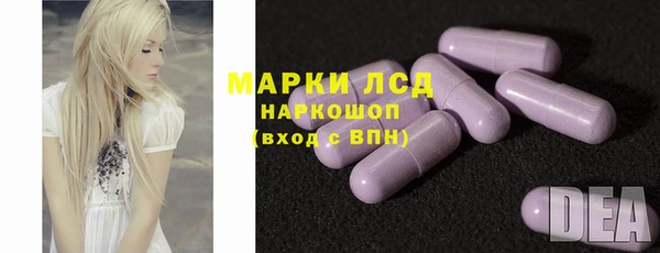прущие грибы Новокубанск