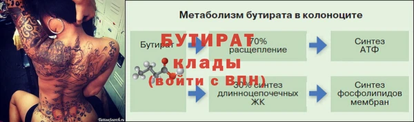 гидра Арсеньев