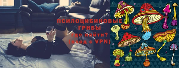 дмт Аркадак