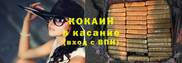 ГАЛЛЮЦИНОГЕННЫЕ ГРИБЫ Новозыбков