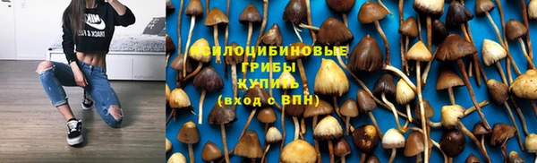 дмт Аркадак