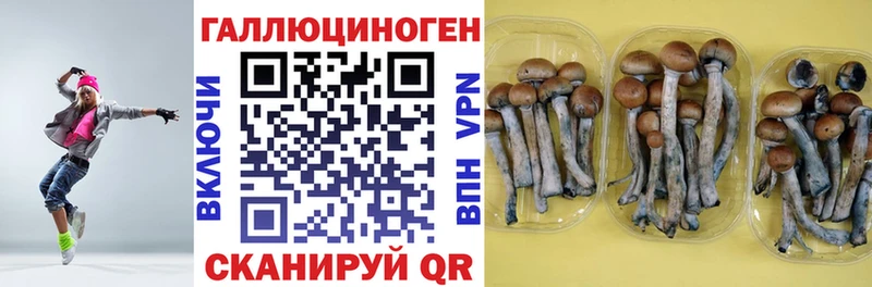 наркота Мирный Псилоцибиновые грибы мицелий